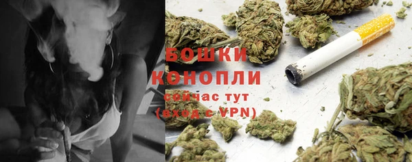 каннабис Майский
