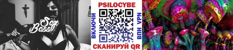 omg сайт  сколько стоит  Рошаль  Псилоцибиновые грибы MAGIC MUSHROOMS 